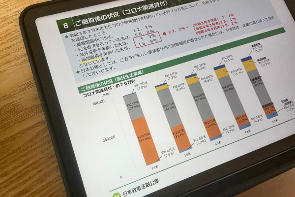 日本政策金融公庫の融資後の状況レポート